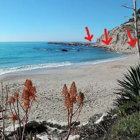 Les Pieds Dans L'eau 