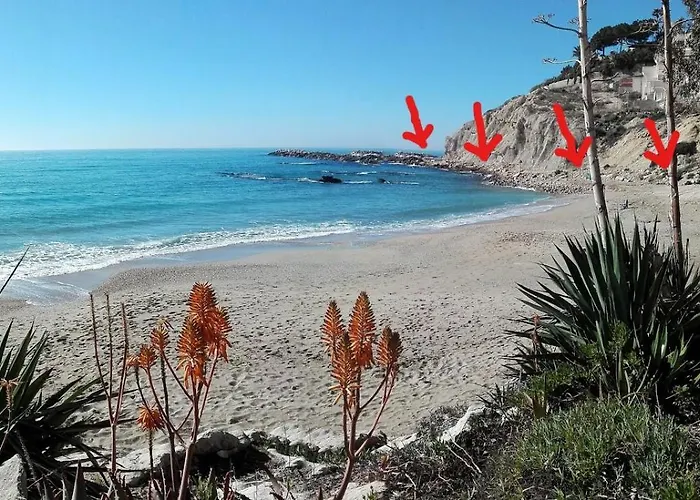 Les Pieds Dans L'eau 